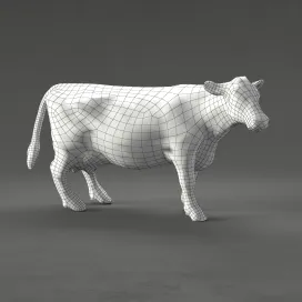 Milk cow